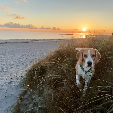 Fewo-strandzentrum-direkt-am-strand شقة *